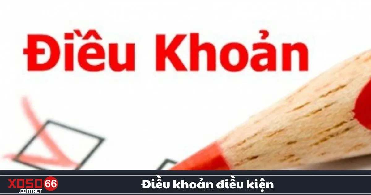 Điều Khoản Điều Kiện Xoso66 – Quy Định Quan Trọng 2 Điều Khoản Điều Kiện Xoso66 – Quy định về độ tuổi & thông tin tài khoản hợp lệ