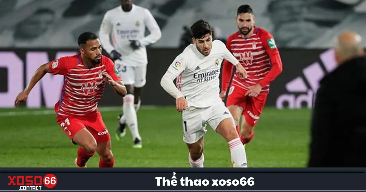 Thể Thao Xoso66 – Cá Cược Đỉnh Cao Với Tỷ Lệ Kèo Hấp Dẫn 1 Thể Thao Xoso66 – Các Môn Thể Thao Được Cá Cược Nhiều Nhất Tại Xoso66