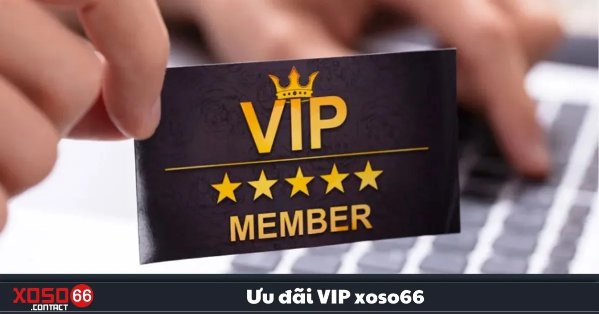 Ưu Đãi VIP Xoso66 – Đặc Quyền Dành Riêng Cho Người Chơi 4 Ưu Đãi VIP Xoso66 – Quyền lợi độc quyền dành cho khách hàng VIP