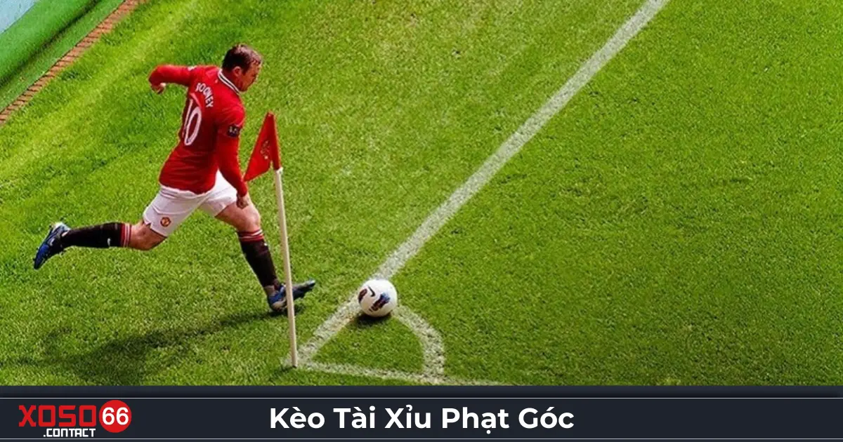 Kèo Tài Xỉu Phạt Góc - Hình Thức Cược Hấp Dẫn Tại Xoso66 2 Kèo tài xỉu phạt góc là gì? Cách đặt cược tại Xoso66